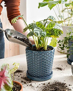 LE TAUCI Ceramic Pots for Plants, 5.5 Inch Plant Pots with Drainage and Saucer, Indoor Plant Pots for Succulents, Snake Plants, Cactus, and More, Set of 2, Reactive Glaze Blue - Image 2