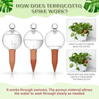 Teenyyou 3 Set 12oz Glass Self Watering Globes with Terracotta Self Watering Spike Large Glass Waterer Bulbs Automatic Water Planter Water Device for Indoor Outdoor (Green,Cactus)(Clear,Classic) - Image 2