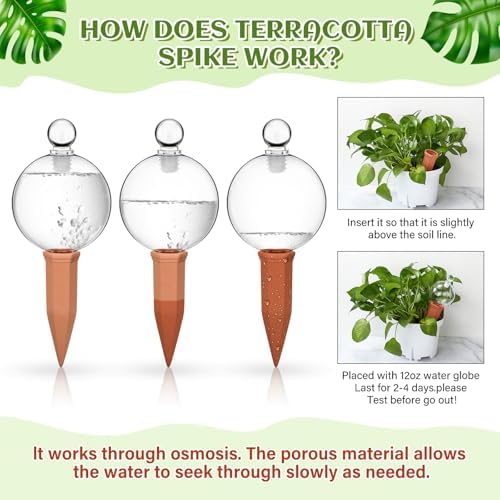 Teenyyou 3 Set 12oz Glass Self Watering Globes with Terracotta Self Watering Spike Large Glass Waterer Bulbs Automatic Water Planter Water Device for Indoor Outdoor (Green,Cactus)(Clear,Classic) - Image 2