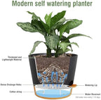 Meowell 12 inch Large Self Watering Pot for Indoor Outdoor Plants - Image 4