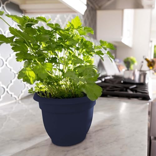 Bloem Ariana 6" Plastic Self-Watering Planter, Navy, 4-Pack - Image 2