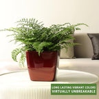 Dexceder 9x8 Self Watering Planter (Red High Gloss) - Image 6