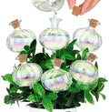 Yungyan 6 Pcs Glass Plant Watering Globes, Rainbow Color, 9.84 Inch by Yungyan