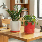 Eightpot 2 Pack Plant Plates to Catch Water, Plant Trays for Pots Indoor Outdoors, 7.5 Inch Plants Water Catcher Tray, Round Flower Pot Saucers, Modern Decorative Dishes to Catch Water, Red - Image 3