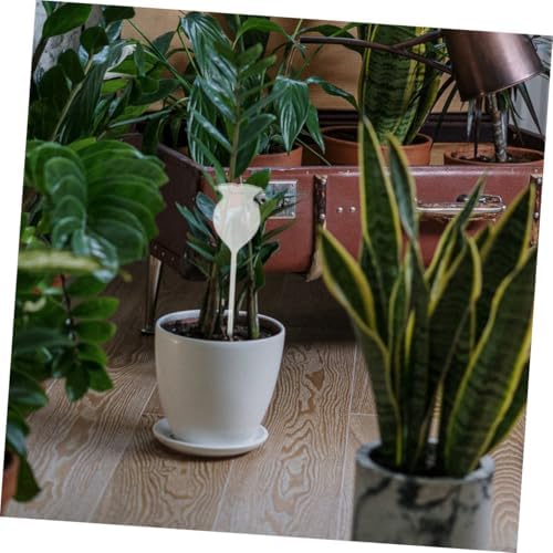 Abaodam 2pcs Self-Watering Spikes for Indoor Plants, Glass Automatic Watering Device with Rose and Star Design, Garden Plant Drip Irrigation Tool for Potted Flowers and Greenhouse Use - Image 6