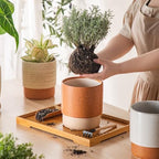 6 Inch Ceramic Self Watering Planter with Drainage Hole Terracotta - Image 6
