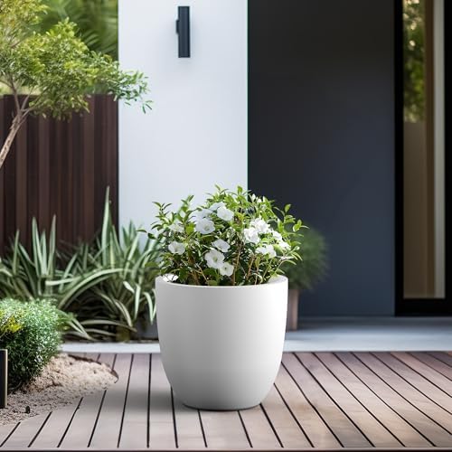 Kante 18" Dia Round Concrete Planter, Large Bowl Pot, White - Image 5