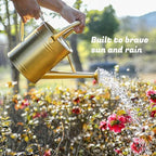 1 Gallon Watering Can for Plants, Watering Cans for Indoor&Outdoor Gardening, Galvanized Steel Watering Pot with Removable Spout, Metal Water Can with Ergonomic Movable Handle(Gold) - Image 2