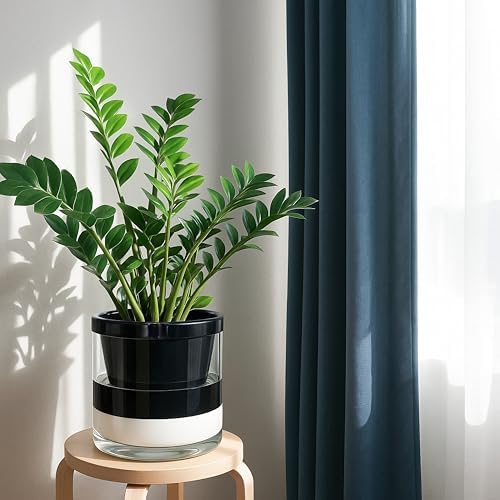 D'vine Dev Self-Watering Black Terracotta Planter Pot, 10 in, 37-X-D-3 - Image 2
