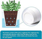 D'vine Dev Self-Watering White Terracotta Planter, 4 in, 3-Pack, 37-Z-A-2-T - Image 4