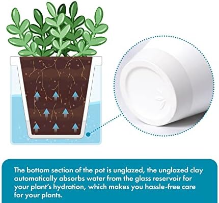 D'vine Dev Self-Watering White Terracotta Planter, 4 in, 4-Pack, 37-Z-A-2-F - Image 4