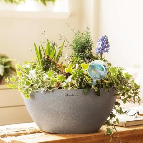 Clear Plant Watering Globes Set of 6 - Large Self Watering Globes for Indoor & Outdoor Plants - Automatic, Glass Watering Bulbs for Daily Use, Plant Watering Devices - Image 2