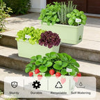 Oliz Window Box Planter 6 Packs, 13.8 Inches Rectangle Flower Pots with Drainage Holes & Trays, Pots for Vegetables, Herbs, Flowers, Garden Windowsill Balcony (Green) - Image 2