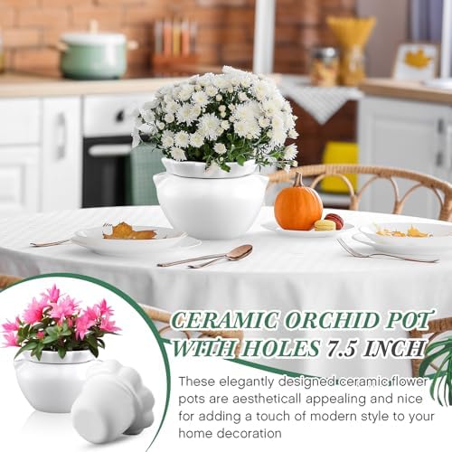 4 Set 6 Inch African Violet Pots Self Watering Ceramic - Image 6