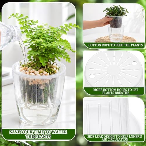 Self Watering Plant Pots, 3.5''/4.3''/5.1'', Transparent, 12 Pcs - Image 3