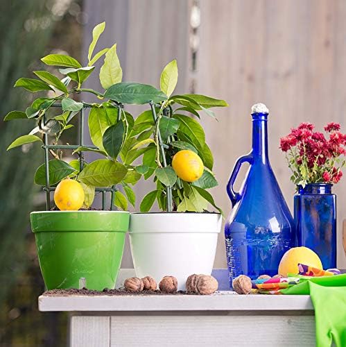 DECOPOTS - 3 Pack - Self Watering Planter - Modern Flower Pot with Water Level Indicator for All House Plants, Flowers, Herbs - Height 8.3 inches (Diameter 10.6", Menthol - White) - Image 4