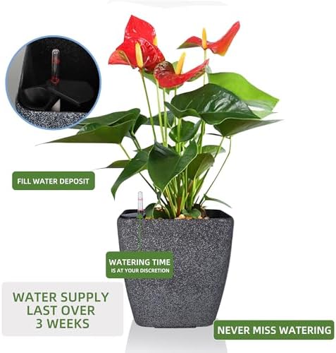 Dexceder 15x14 Self Watering Planter with Wheels (Stone Matte) - Image 5
