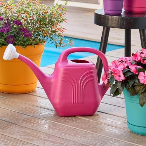 Bloem Classic 2 Gallon Plastic Watering Can, Fuchsia, 2-Pack - Image 2