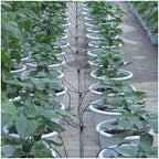 Garden Drip Irrigation 20 Sets Curved Arrow Watering Spikes for Plants - Image 4