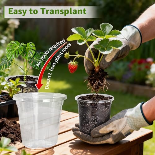 MIXC Clear Nursery Pots with Drainage Holes and Saucers, 12Inch, 12Pack - Image 5