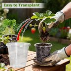 MIXC Clear Nursery Pots with Drainage Hole & Sacuer, 6/8/10/12Inch, 20 Pack - Image 4