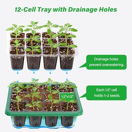 Bonviee 15-Pack Seed Starter Trays, Humidity Dome, Base, 12-Cell Tray, Green - Image 7