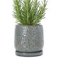 D'vine Dev Embossed Leaves Ceramic Planter, 6 in, Graphite Blue, 27-A-X-9 by DvineDevPlanterPotsandStand