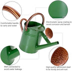 1 Gallon Metal Watering Can with Removable Spout, Nice Galvanized Steel Water Can for Indoor and Outdoor Plants (House Plants) - Image 2