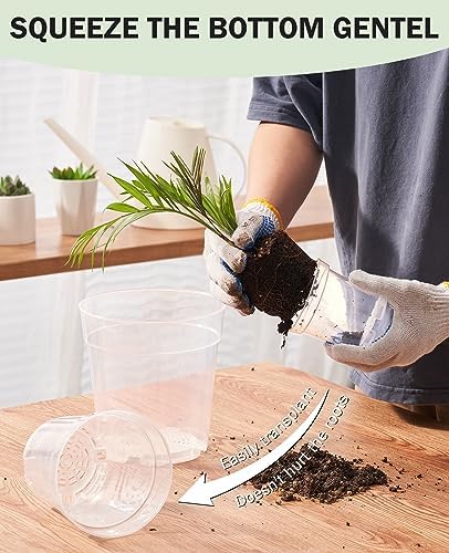 homenote 6.7 Inch Clear Plastic Nursery Pots with Drainage Holes (15 Pcs) - Image 6