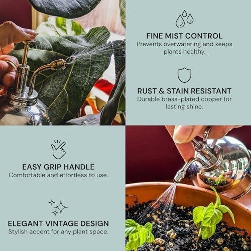 Sustainable Village Watering Can Indoor Plants - Nickel Plant Mister - Stylish and Rust Resistant Watering Cans for Healthy Hydration - Prevents Overwatering - Image 4