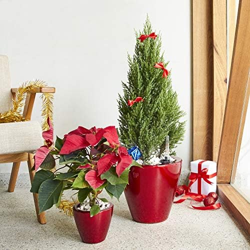 Planters, 10.2 Inch Round Self-Watering Pots, 2-Pack, Red - Image 4
