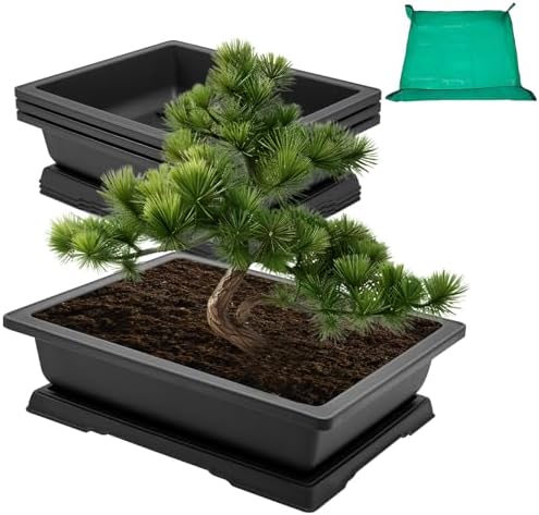 GROWNEER 3 Packs 18 Inch Large Bonsai Training Pots with Drainage Trays by GROWNEER