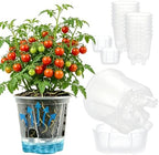 Cdd's Path 5 Inch Clear Self Watering Pots Set, 12 Pack Naked Root Planter with Deep Water Tank, Large Drainage Holes, Reservoir & Air Pipes for Indoor Outdoor Plants, Flowers, Seedlings by Unknown