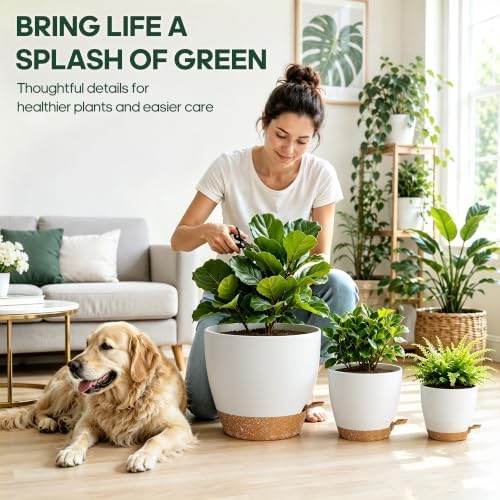 6 Size Self Watering Pots for Indoor Plants, Flower Plant Pot, White - Image 5