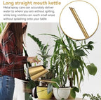 Watering Can for Indoor Plants, Metal Watering Can with Long Spout Stainless Steel Water Cans for House Plants Small Water Can for Succulent Bonsai Garden Flower(L) - Image 4