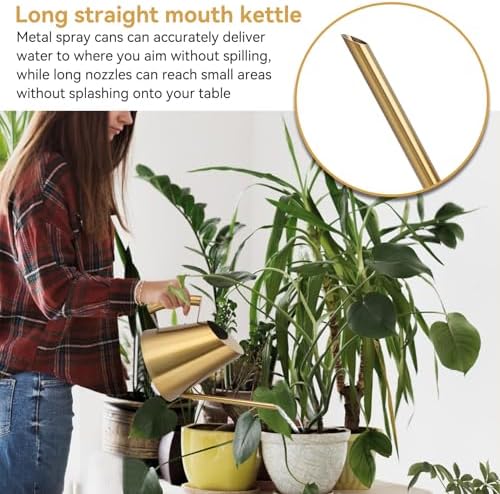 Watering Can for Indoor Plants, Metal Watering Can with Long Spout Stainless Steel Water Cans for House Plants Small Water Can for Succulent Bonsai Garden Flower(L) - Image 4