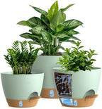Self Watering Pots with Drainage Holes, 3 Pack 12/10/8 Inch Plant Pots with Water Level Indicator Deep Reservoir, Large Plastic Planter for Indoor Outdoor Plants - Green Brown by KUGAZ