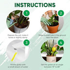 Plant Watering Globes Set of 8, Large - Glass Self Watering Globes - Image 6