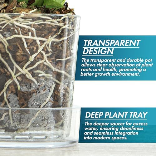 Phoenix Vine 3.5 Inch Clear Acrylic Planter Pot with Tray, Orchid Pot with Drainage Holes, Deep Saucer for Bottom Watering, Transparent Containers for Indoor Plants, Herbs, Set of 12, 91-A-D-12 - Image 4
