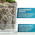 Phoenix Vine 3.5 Inch Clear Acrylic Planter Pot with Tray, Orchid Pot with Drainage Holes, Deep Saucer for Bottom Watering, Transparent Containers for Indoor Plants, Herbs, Set of 12, 91-A-D-12 - Image 4