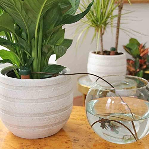Blumat Classic Self-Watering Stakes - Prevents Overwatering and Underwatering for Healthy Growth While You are Away - Ideal for Indoor Plant Watering (9 Pack w/o Adapter) - Image 3