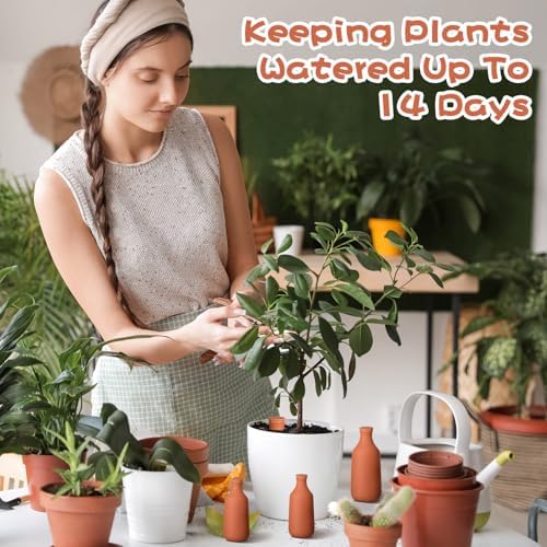 DoubleFill Ollas Terracotta Watering Pots, 10,16,24 oz, 4 Pcs - Image 4