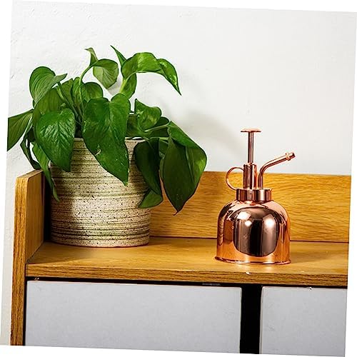 Vintage Plant Watering Can Stainless Steel Succulent Watering Bottle Indoor Plant Mister - Image 4