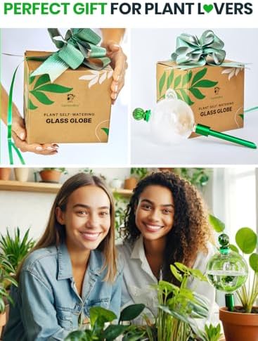 3pc 16 Oz Plant Watering Globes Large Self Watering Globes For Indoor Plant - Image 6