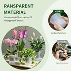Cdd's Path Self Watering Pots Set with Deep Water Tank, Large Drainage Holes, Reservoir & Air Pipes, 5/6/7 Inch Naked Root Planter for Indoor Outdoor Plants, Flowers, Seedlings, Clear, 9 Pack - Image 4