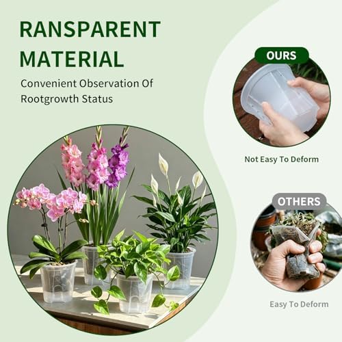 Cdd's Path 6 Inch Clear Self Watering Pots Set, 12 Pack Naked Root Planter with Deep Water Tank, Large Drainage Holes, Reservoir & Air Pipes for Indoor Outdoor Plants, Flowers, Seedlings - Image 4