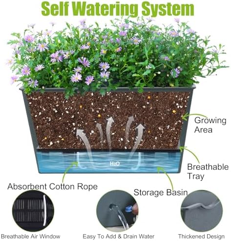 Window Box Planter 6 Pcs, 12.6 Inches Self Watering Rectangle Flower Plant Pots with Drainage Holes & Breathable Trays, Vegetable Planters for Windowsill Patio Garden Balcony Porch Yard (Dark Green) - Image 2
