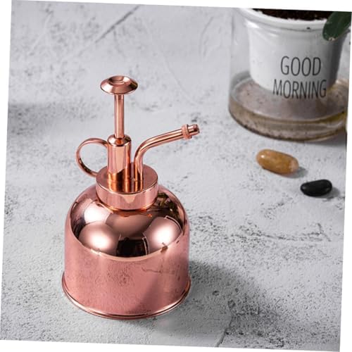 LALAFINA Vintage Plant Watering Can with Pump Rose Gold Stainless Steel Mister for Succulents Easy Grip Portable and Gardening Bottle for Indoor Plants and Baking - Image 2