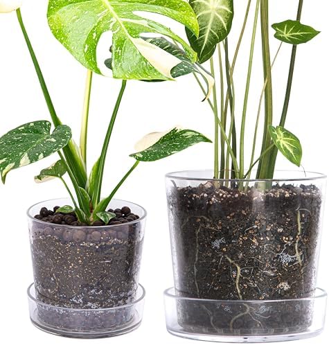 Phoenix Vine 6.5 Inch 8 Inch Clear Acrylic Houseplants Planter Pot with Tray, Orchid Pot with Drainage Holes, Deep Saucer for Bottom Watering, Transparent Containers for Indoor Plants, Herbs, 91-B-X by Phoenix+Vine