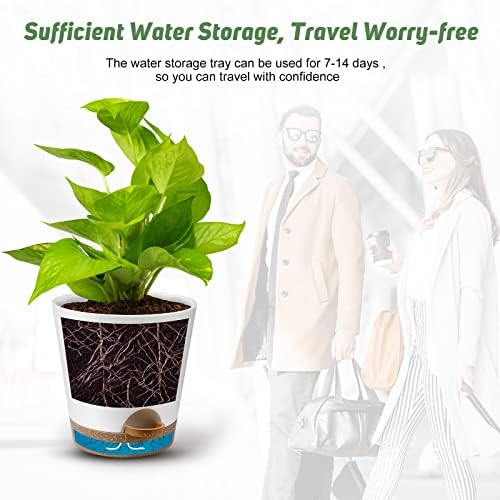 YNNICO Indoor Self Watering Planters with Drainage Holes and Saucers, 8, 7, 6.5, 6, 5.5, 5 Inches, White, 6 Pots (Pack of 2) - Image 6